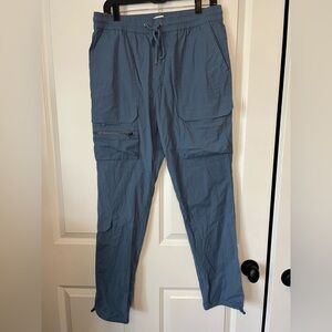 PacSun Men's Slate Blue Cargo Pants